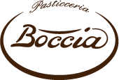 light logo